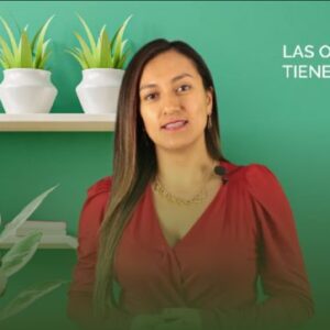 GERENCIA SISTEMAS INTEGRADOS DE CALIDAD - HSEQ